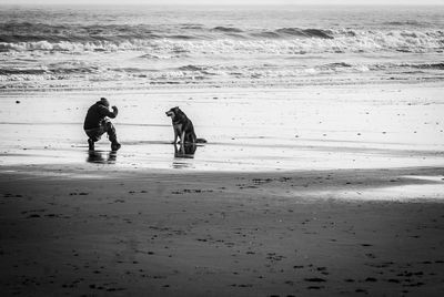 Mid distance view of man crouching with dog at beach