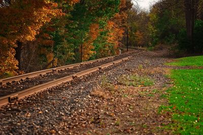 Railroad tracks in forest during autumn