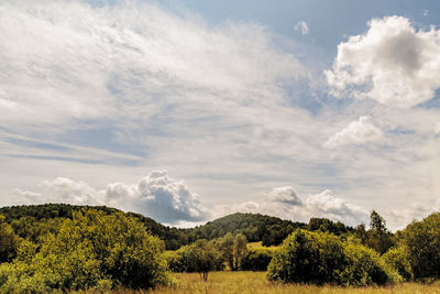 Scenic view of field against sky