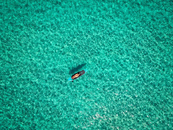 High angle view of duck swimming in sea