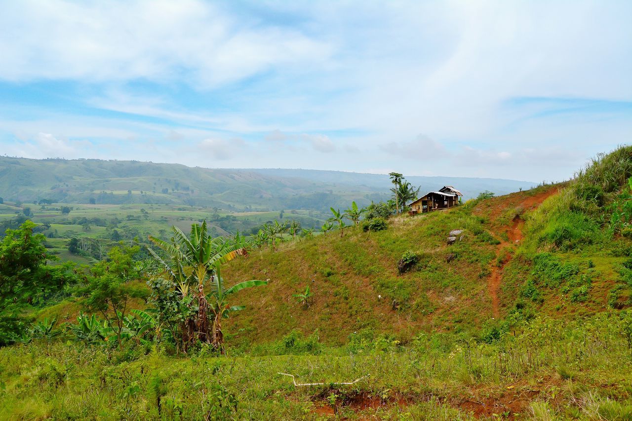 sky, landscape, environment, plant, cloud - sky, land, scenics - nature, nature, day, tree, transportation, beauty in nature, non-urban scene, land vehicle, mode of transportation, mountain, tranquil scene, green color, field, tranquility, no people, outdoors