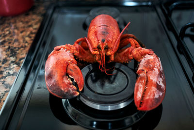 High angle view of meat on barbecue grill