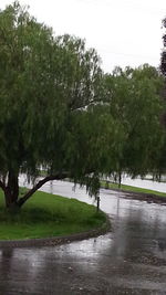 Scenic view of river with trees in background