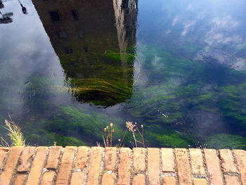 High angle view of turtle in water against sky