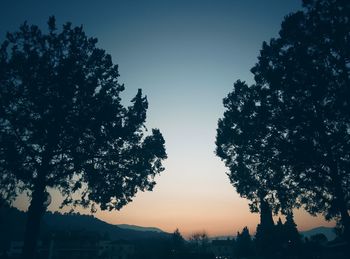 Low angle view of silhouette trees against sky during sunset