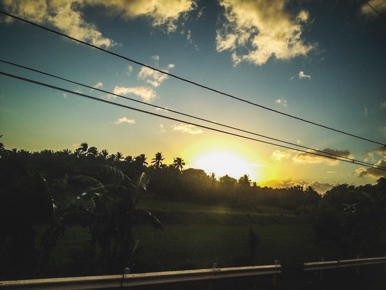 sky, cable, tree, plant, sunset, beauty in nature, nature, tranquility, cloud - sky, landscape, tranquil scene, environment, electricity, no people, power line, scenics - nature, land, field, outdoors, connection, power supply