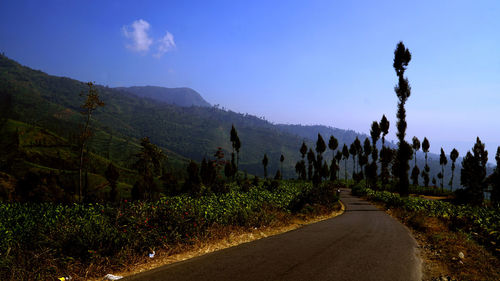 Road amidst plants and mountains against sky