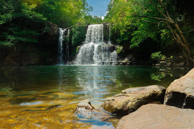 Scenic view of waterfall in forest