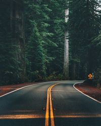 Empty road amidst trees in forest