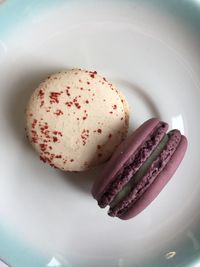 Close-up of dessert in plate