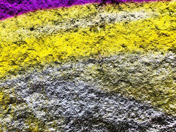 Full frame shot of yellow petals on rock