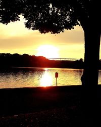 Silhouette of trees at sunset