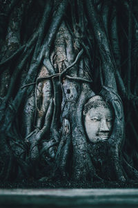 Close-up of buddha statue