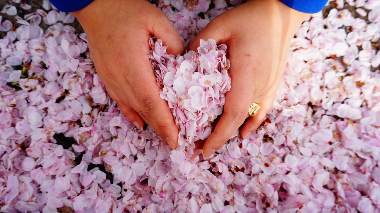 lifestyles, person, leisure activity, flower, low section, pink color, fragility, togetherness, high angle view, childhood, bonding, barefoot, girls, standing