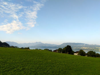 Scenic view of field against sky