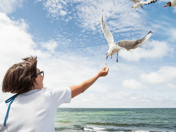 Woman feeds seagulls. hungry noisy birds try to catch bread crust from woman's hand. seascape.