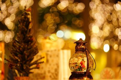 Close-up of illuminated christmas tree at night