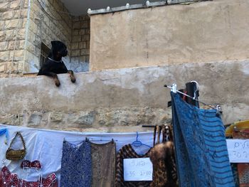 Clothes drying on clothesline