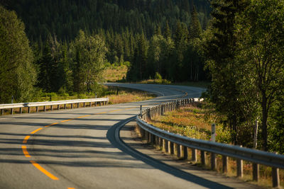 Road amidst trees in forest