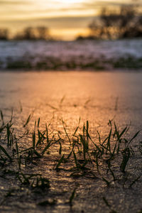 Frozen fields