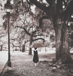 People walking on tree trunk