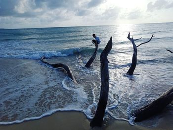 Driftwood on beach against sky