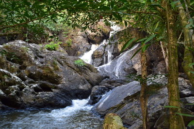 View of waterfall in forest