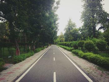 Road amidst trees against sky