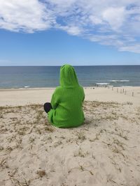 Green leaf on beach against sky