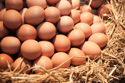 Close-up of fresh eggs at market stall