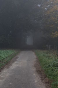 Empty road along trees in foggy weather