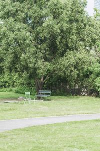 Bench in park