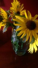 Close-up of flowers in vase