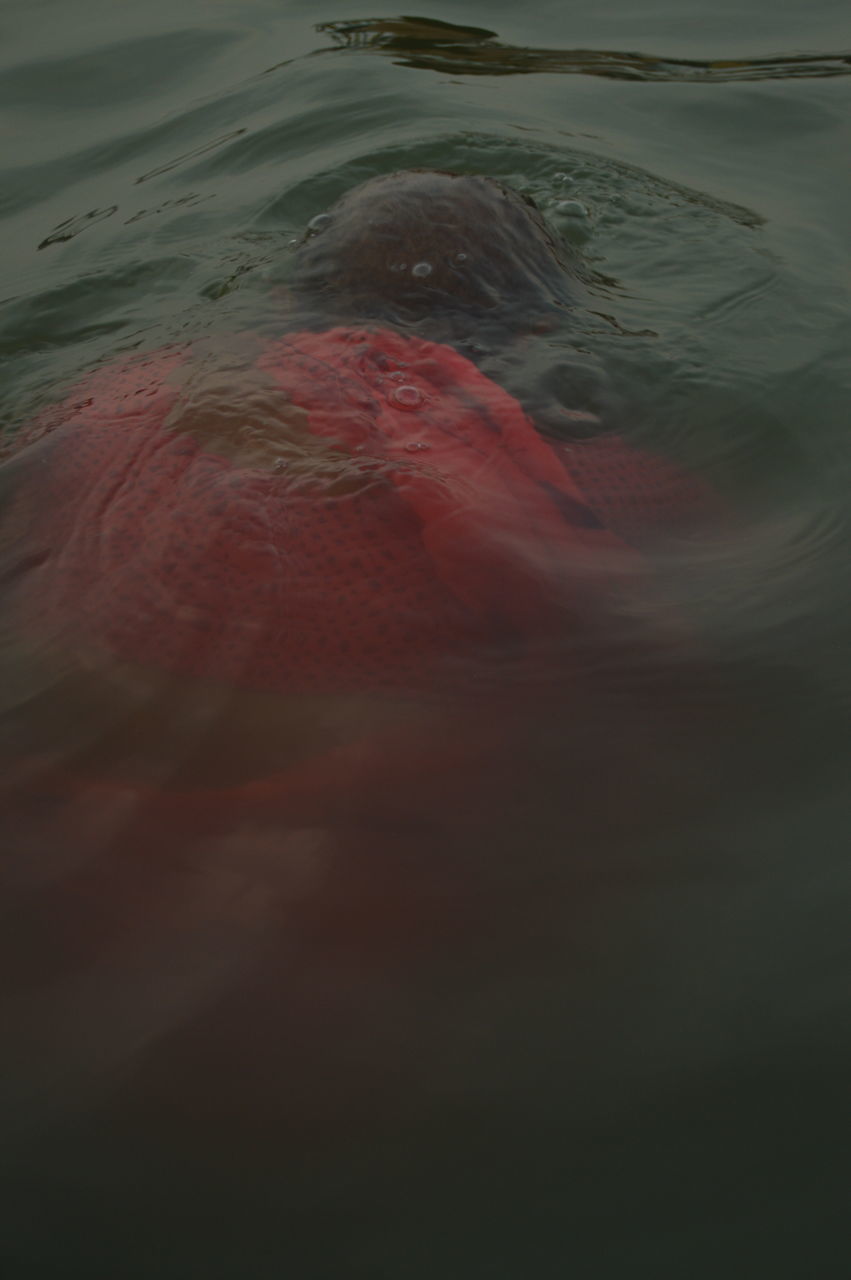 CLOSE-UP OF RIPPLED WATER