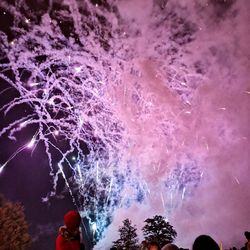 Low angle view of fireworks against sky at night