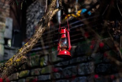 Low angle view of illuminated lanterns hanging on tree by building