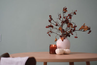 Potted plant on table