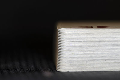 Close-up of tree stump