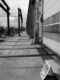 Narrow pathway along trees