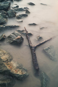 High angle view of driftwood and rocks in lake