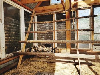 Interior of abandoned house