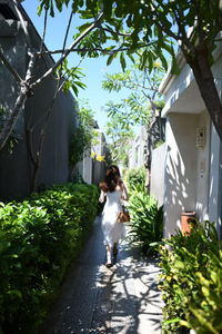Woman walking amidst plants against trees