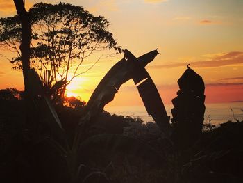 Close-up of silhouette tree against orange sunset sky