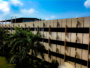 Palm trees by building in city against sky