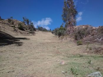 Scenic view of landscape against blue sky