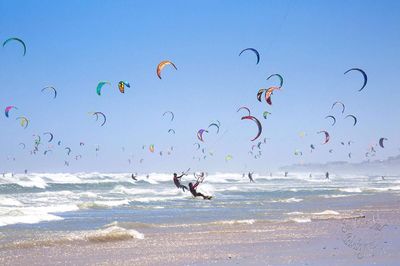 Flock of birds flying over beach against blue sky