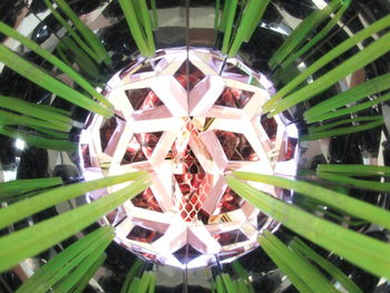 High angle view of people at amusement park