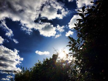 Low angle view of trees against cloudy sky