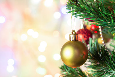 Close-up of christmas tree