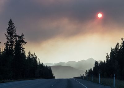 Road amidst trees against sky during sunset